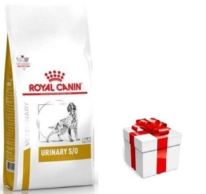 Royal Canin Urinary S/O 13kg + STAIGMENA ŠUNUI