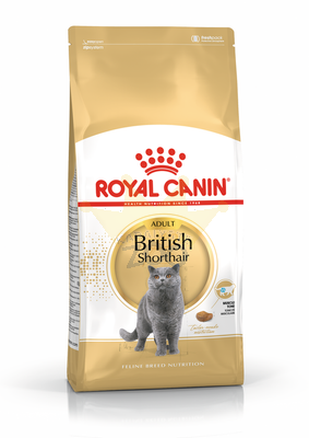 ROYAL CANIN British Shorthair Adult 4kg