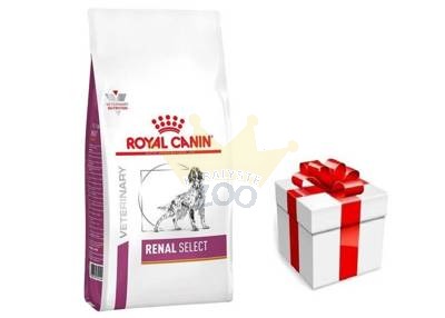 ROYAL CANIN Renal Select Canine RSE 10kg + STAIGMENA ŠUNUI