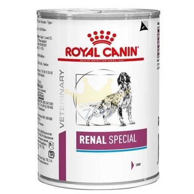 ROYAL CANIN Renal Special 24x410g gali