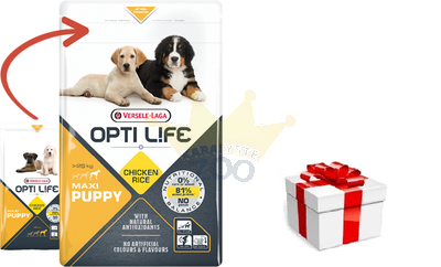 VERSELE-LAGA Opti Life Puppy Maxi 1kg + STAIGMENA ŠUNUI
