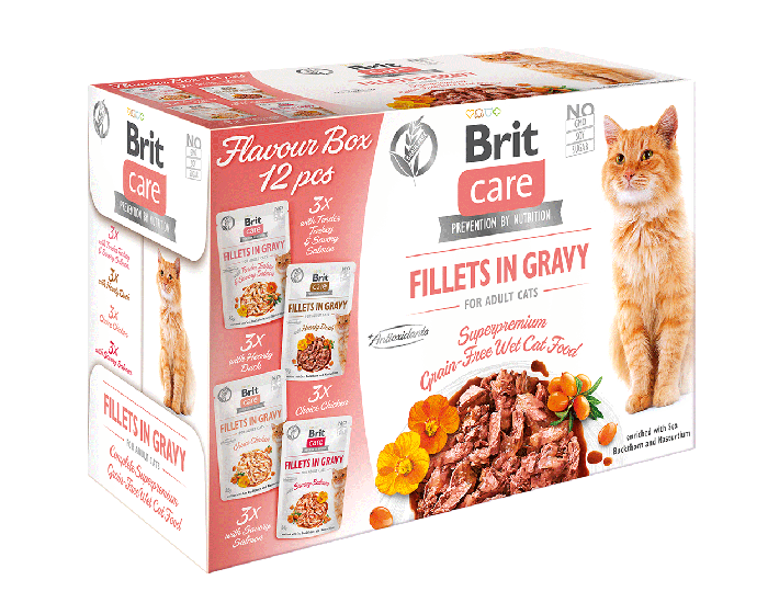 BRIT CARE Cat Fillets in Gravy mix 24x85g