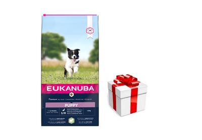 EUKANUBA Puppy&Junior Small/Medium Lamb&Rice 12kg + STAIGMENA ŠUNUI