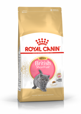 ROYAL CANIN British Shorthair Kitten 400g sausas ėdalas kačiukams iki 12 mėnesių, britų trumpaplaukių veislė