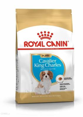 ROYAL CANIN Cavalier King Charles Spaniel Puppy 1,5 kg sauso ėdalo šuniukams iki 10 mėnesių, Cavalier King Charles Spaniel veislė