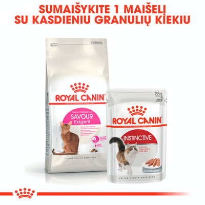 ROYAL CANIN Exigent Savour 35/30 Sensation 10 kg sauso ėdalo suaugusioms išrankioms katėms, skirto pagal kroketo tekstūrą