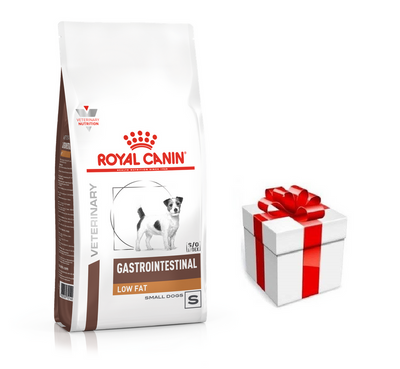 ROYAL CANIN Gastro Intestinal Low Fat Small Dog 1,5kg + STAIGMENA ŠUNUI