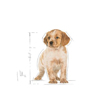 ROYAL CANIN Medium Puppy 15 kg sauso ėdalo šuniukams, nuo 2 iki 12 mėnesių, vidutinių veislių šuniukams