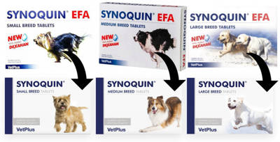 SYNOQUIN EFA medium breed 30 tablečių